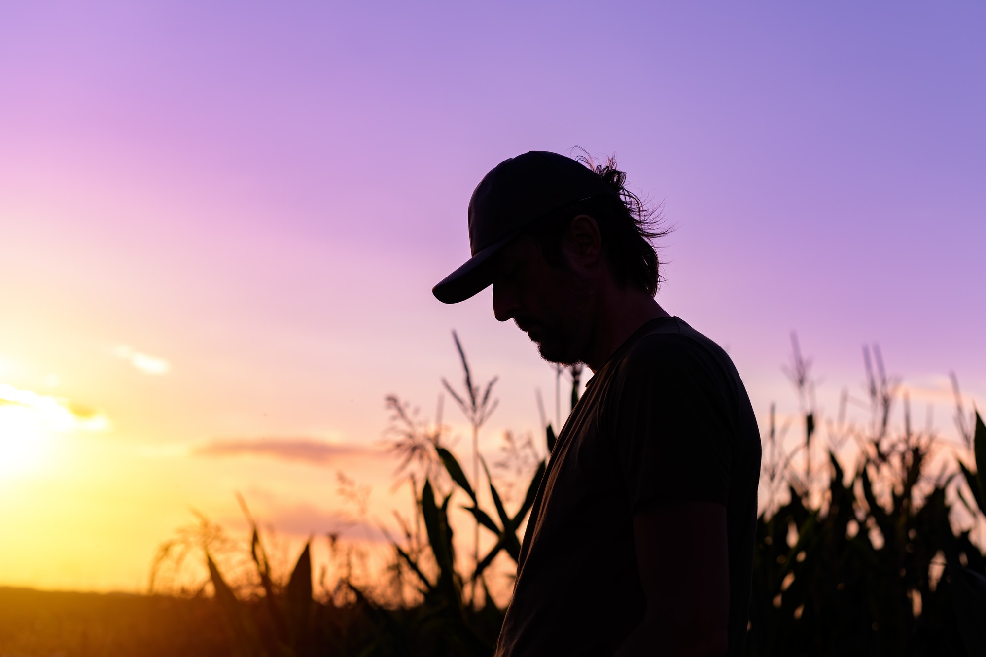 Silhouette of male farmer standing on cornfield